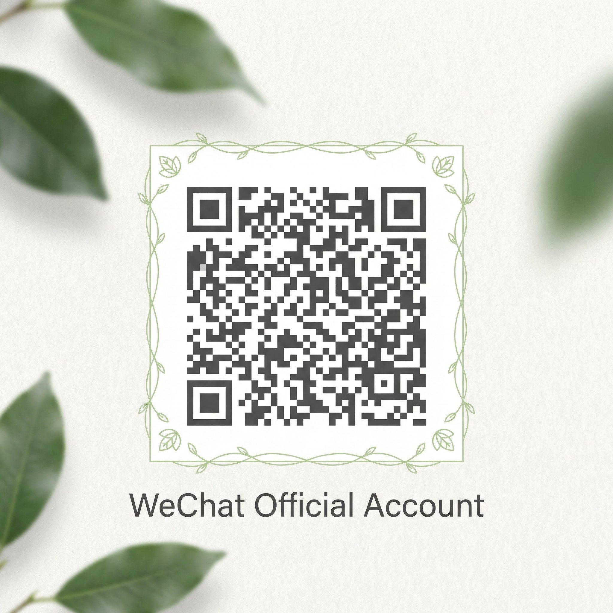 98堂公众号二维码